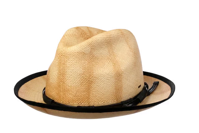 Clafin Panama Hat by Bailey 1922 108,95 €
